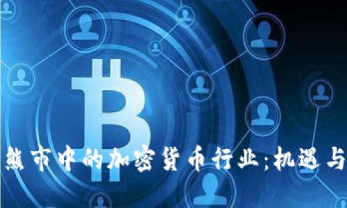 解读熊市中的加密货币行业：机遇与挑战